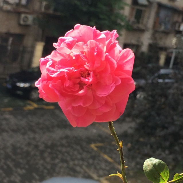 厨房之外～