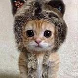 爱卖萌的老太太