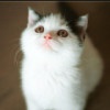 Cathy_sqno