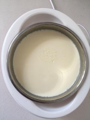 生鲜牛奶做的酸奶的做法 步骤19