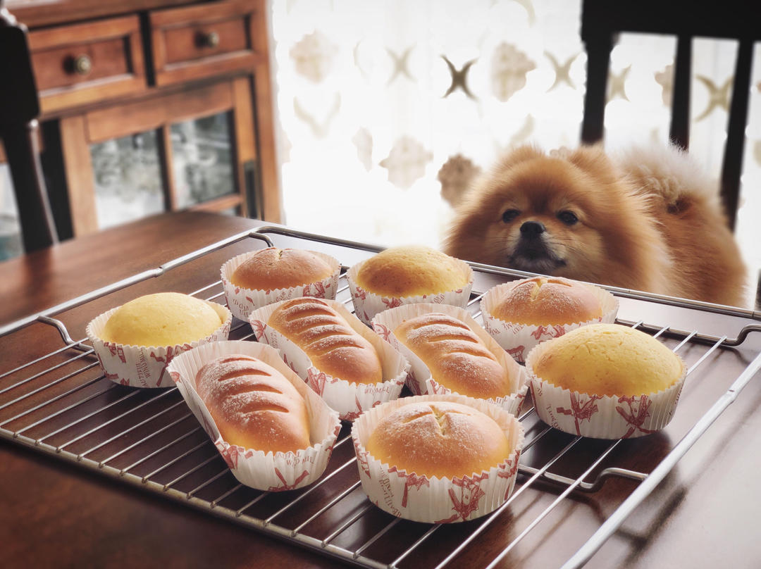 柏翠面包机10分钟手套膜（全程不用粘手）