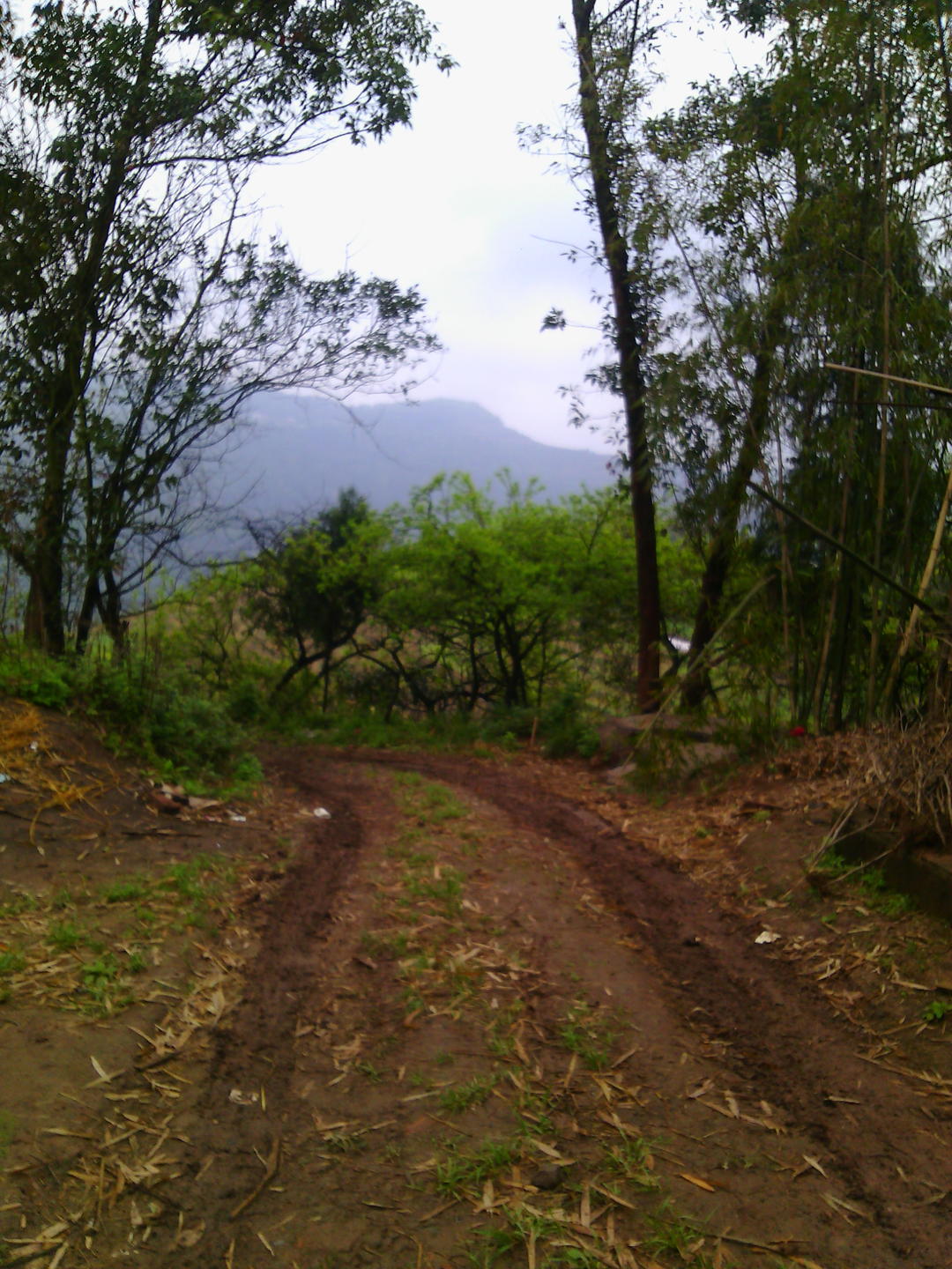 那些快乐的时光