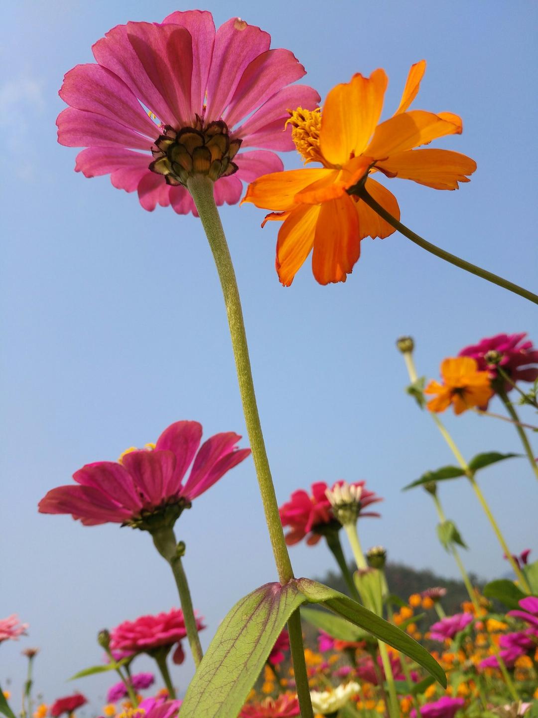 再忙也别忘记生活