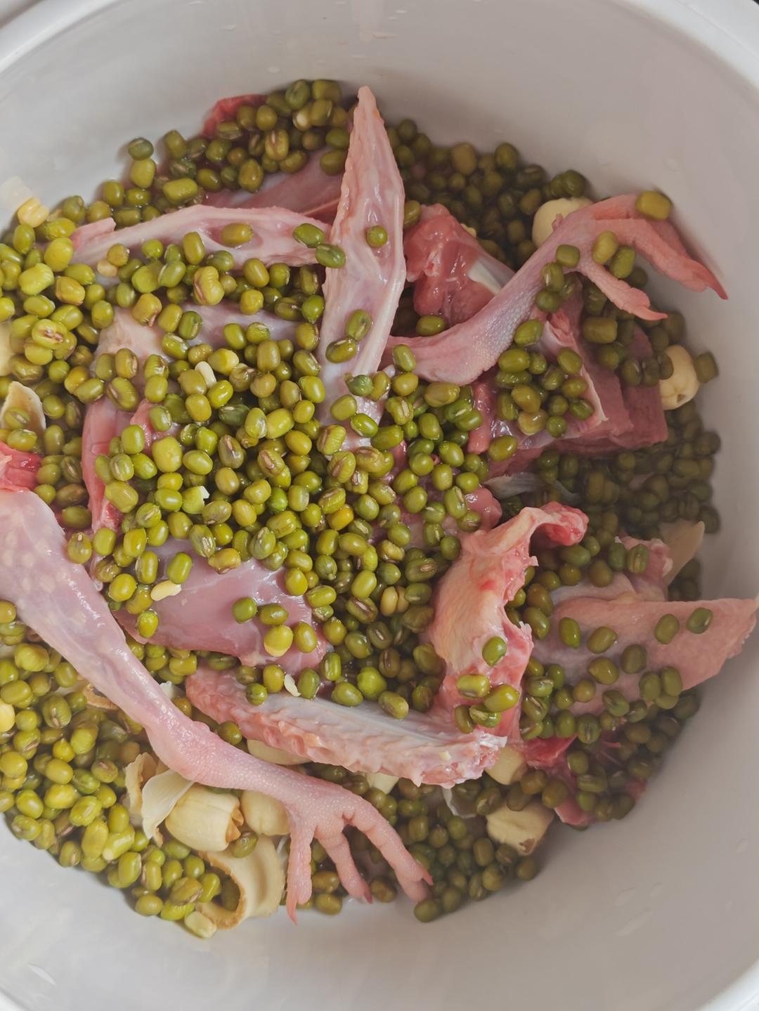 绿豆鸽子汤