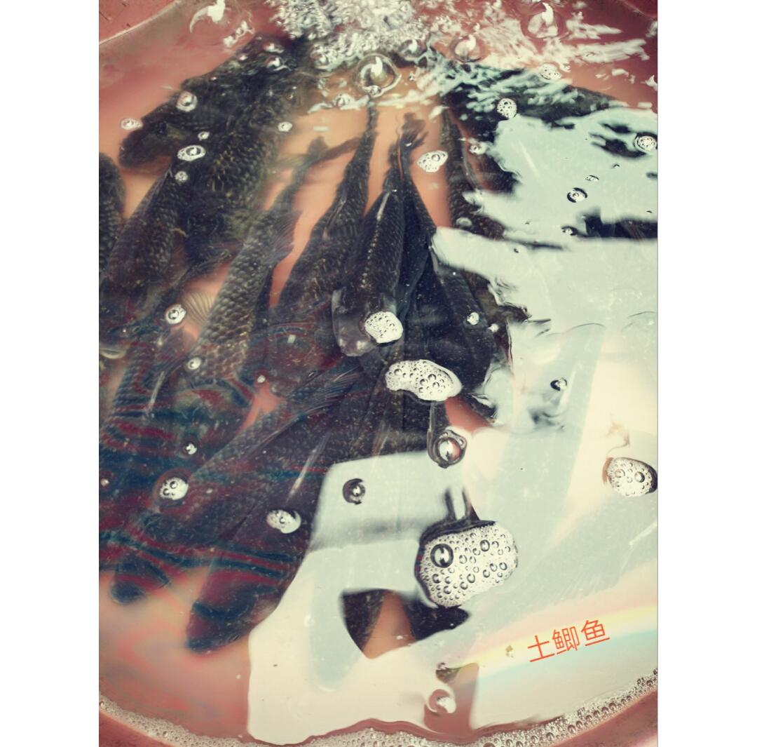 摄影艺术「如何拍出水花溅起图片」