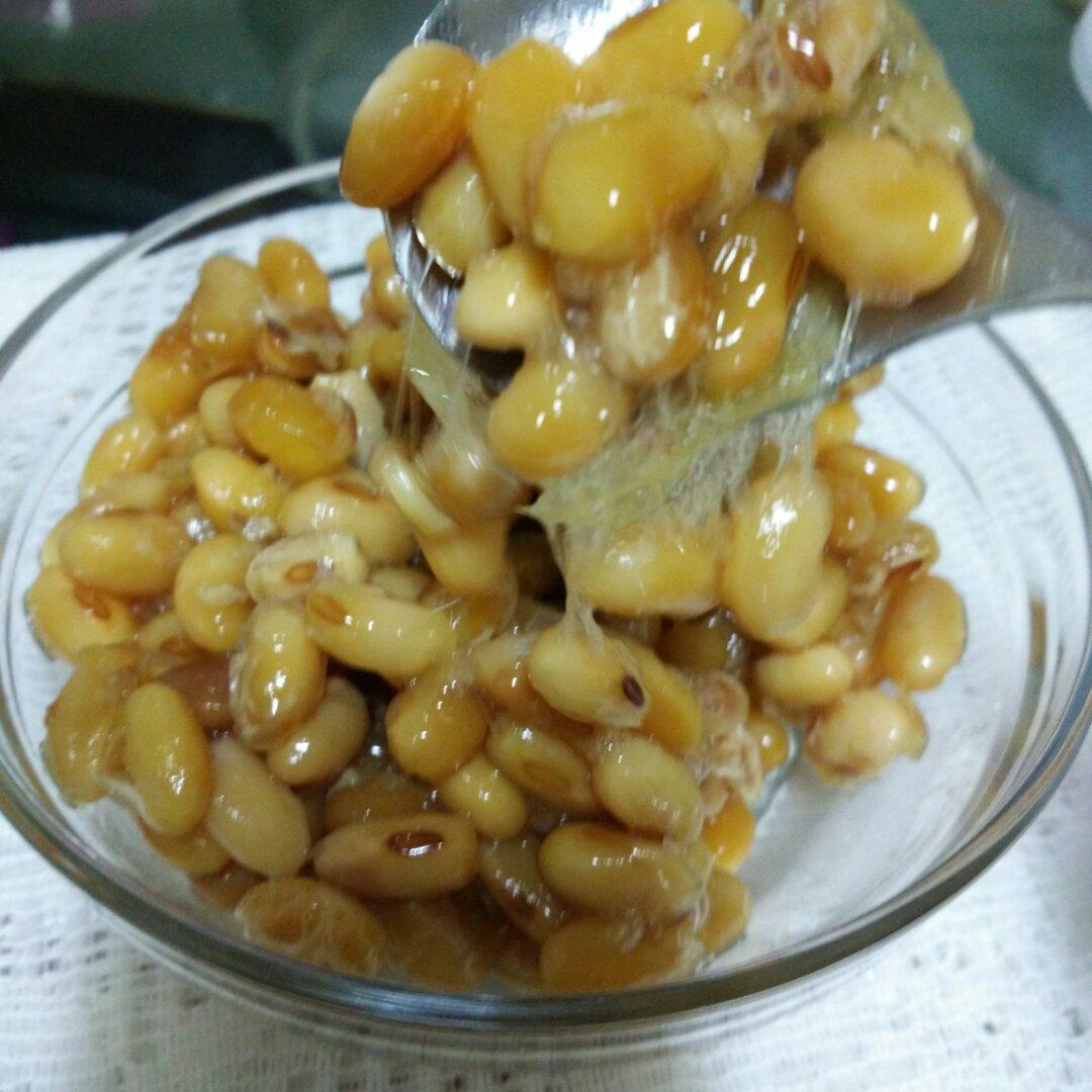 纳豆机自制纳豆