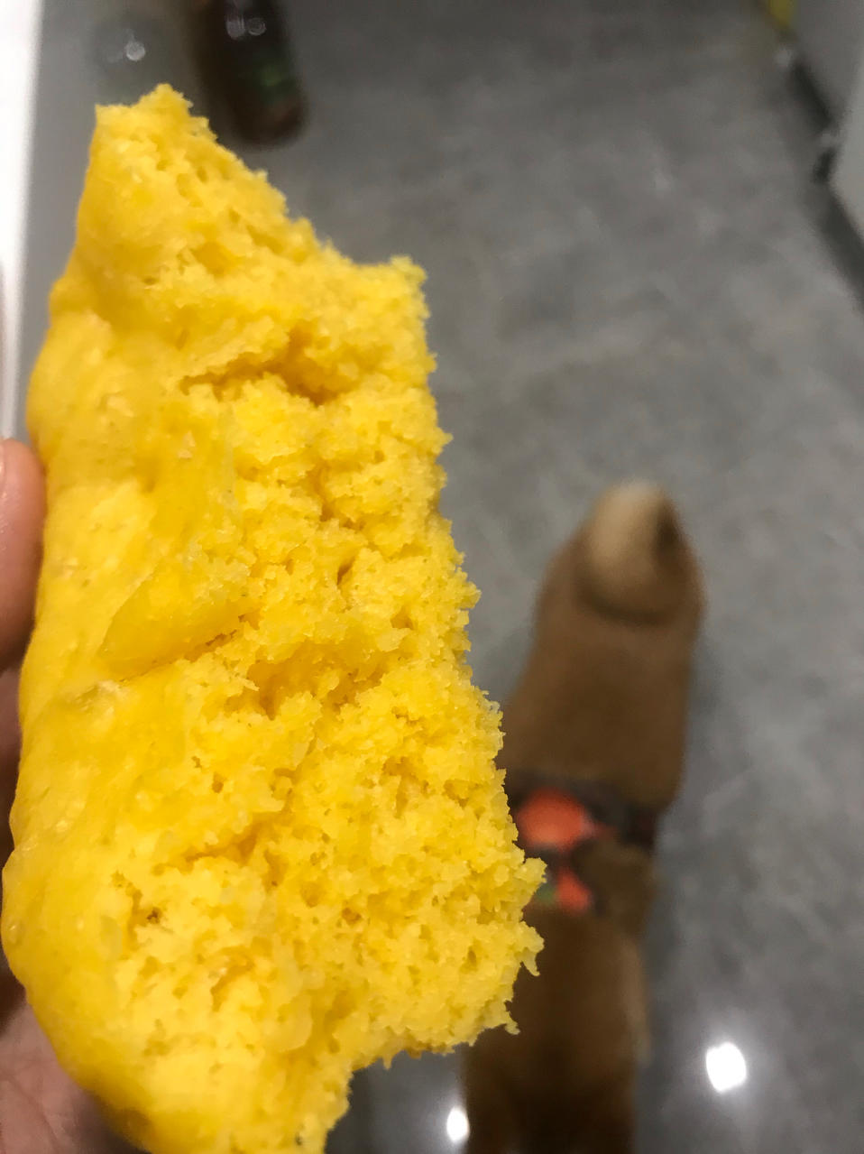 南瓜小米糕