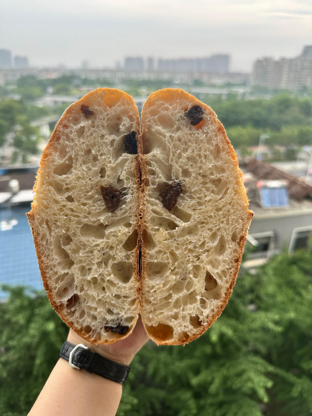 【Ken Forkish】Pain de campagne天然酵种法国乡村欧包（附水温换算公式）