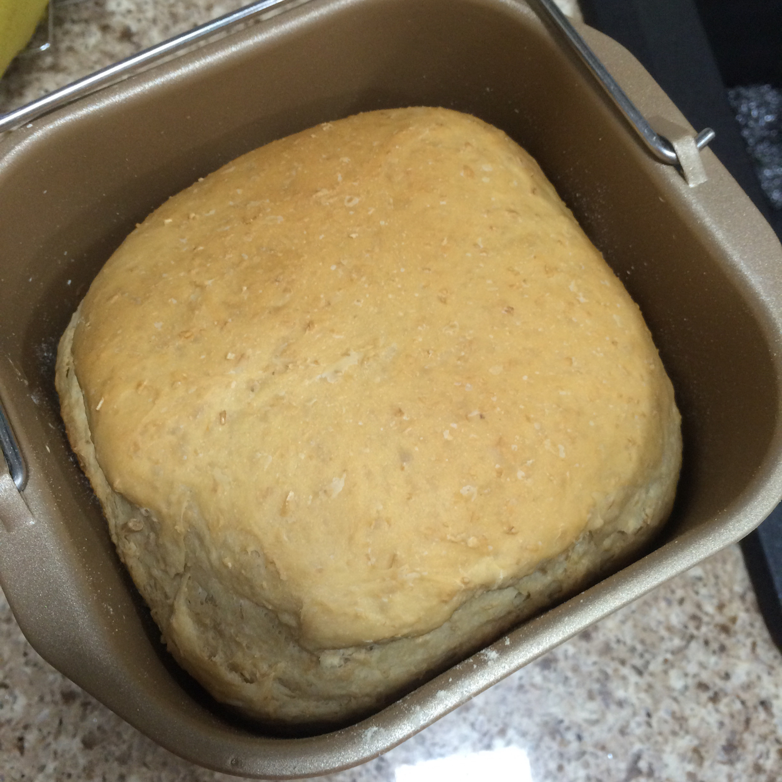 100%全麦吐司（松下BMS106面包机版）