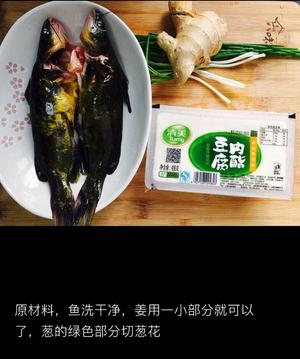 昂刺鱼豆腐汤的做法 步骤1