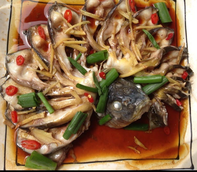 孔雀开屏鱼