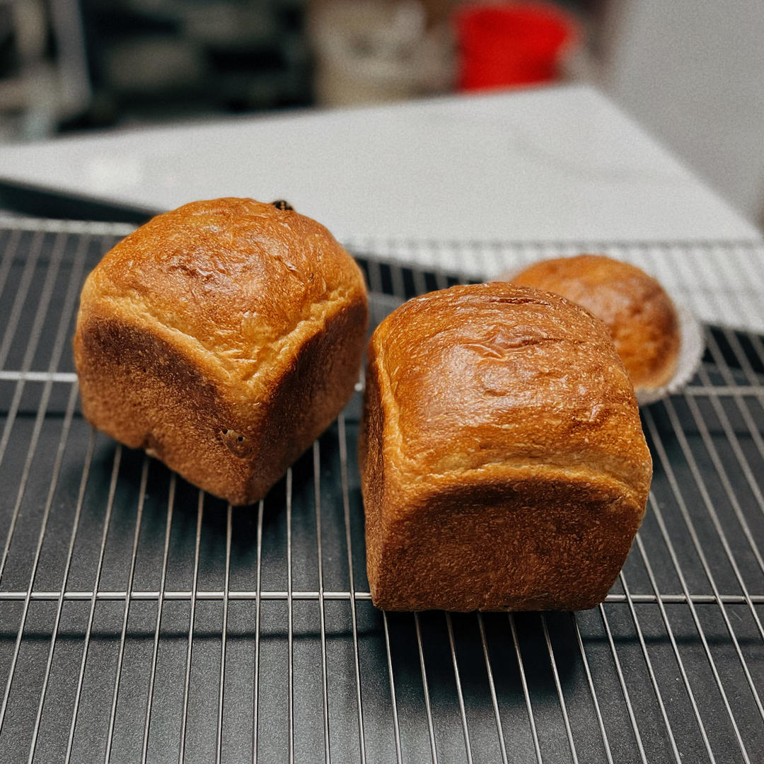 黑啤鲁邦中种提子吐司（教你解锁蕾丝组织）