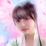 菲献