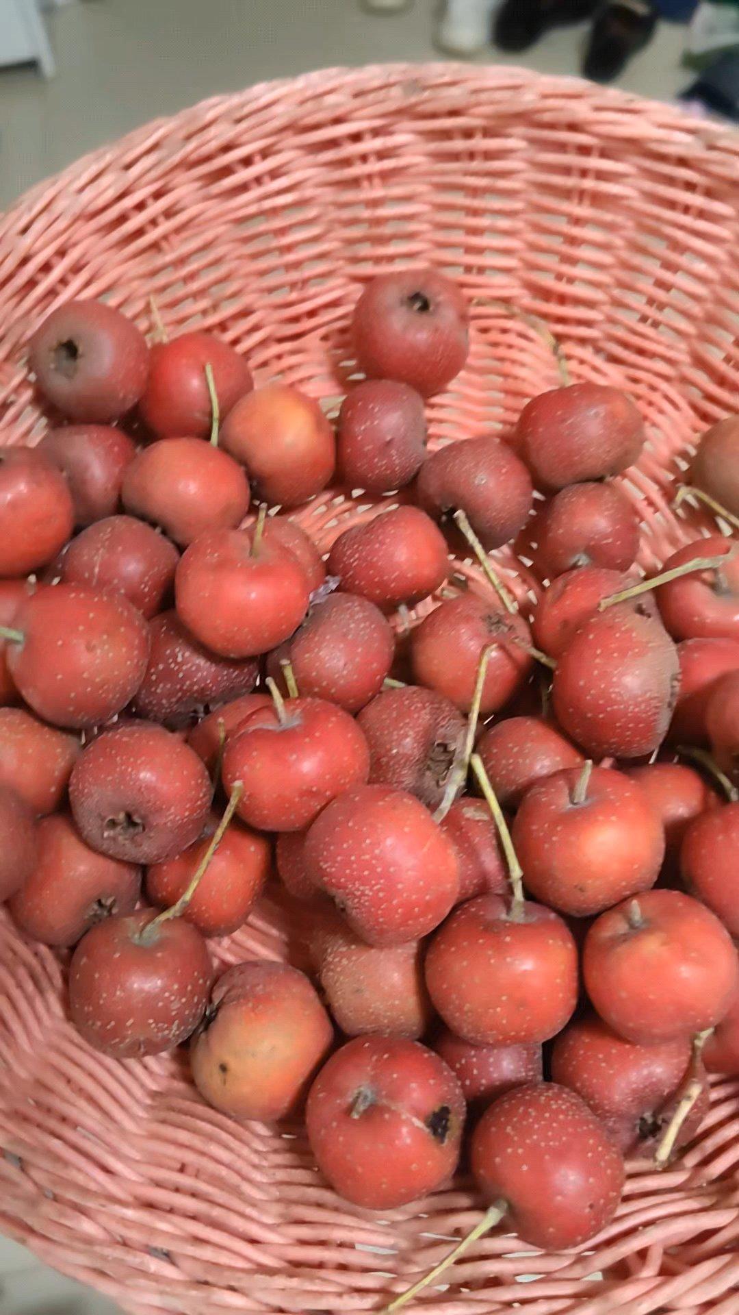 酸甜开胃小山楂