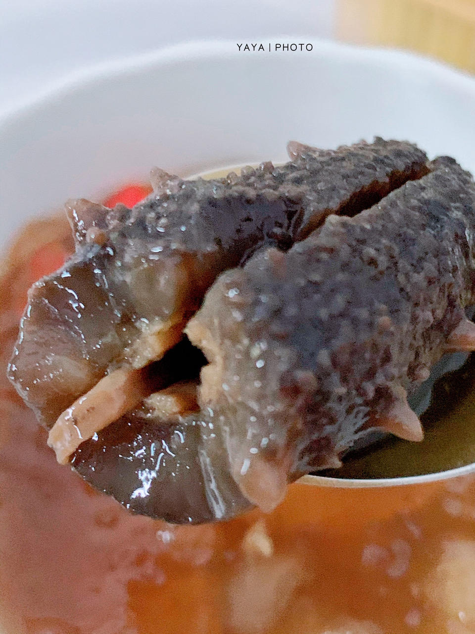 野生海参泡发详细过程