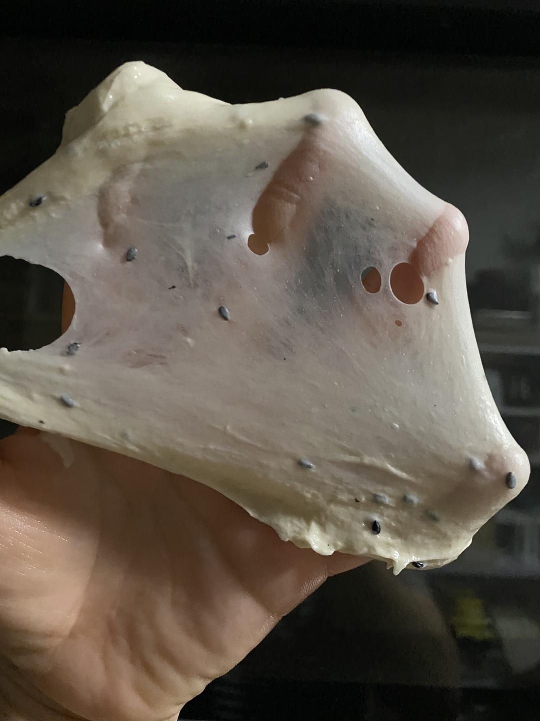 【鲁邦种】隔夜黑芝麻法棍的做法 步骤4