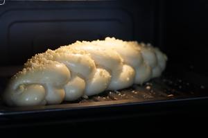 编织系列～五股麻花辫酥粒面包的做法 步骤14