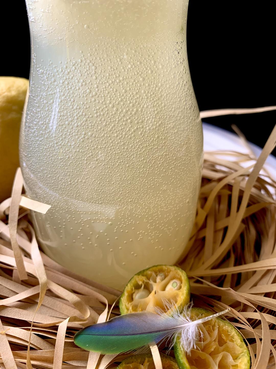 果味儿发酵汽水（13岁儿童版）的做法