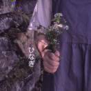 手机用户8548_r8du
