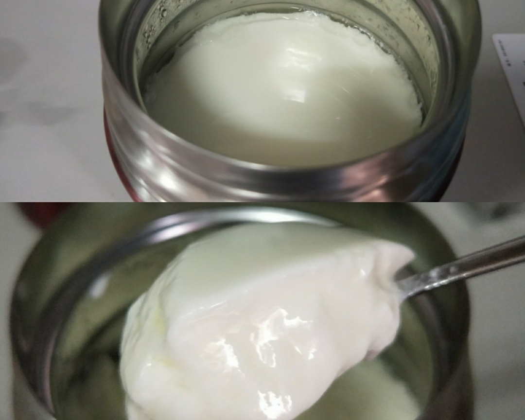 焖烧杯系列－自制无糖脱脂酸奶的做法