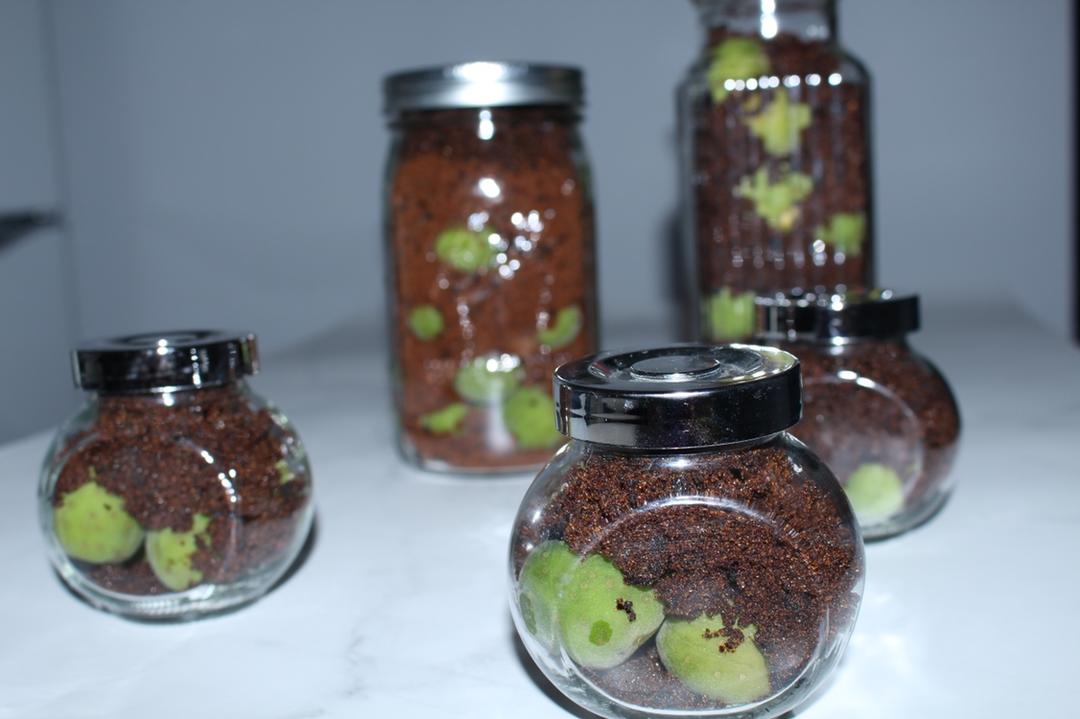 红糖青梅露（青梅酵素）