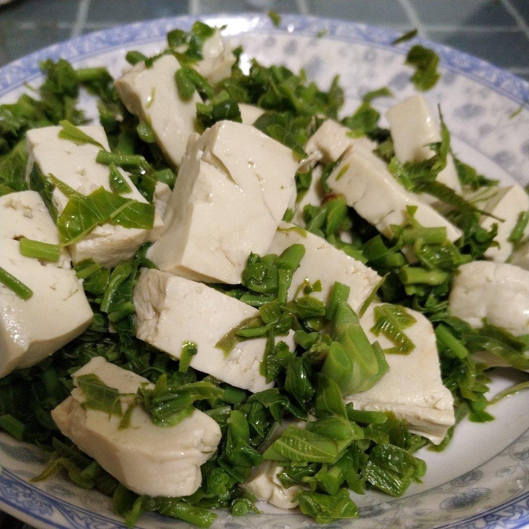 舌尖上的春天之香椿芽拌豆腐