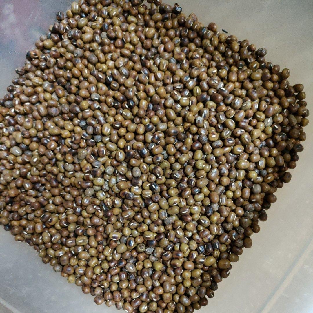 🌾炒制的豆子🌾做五谷豆浆😋营养更丰富👍