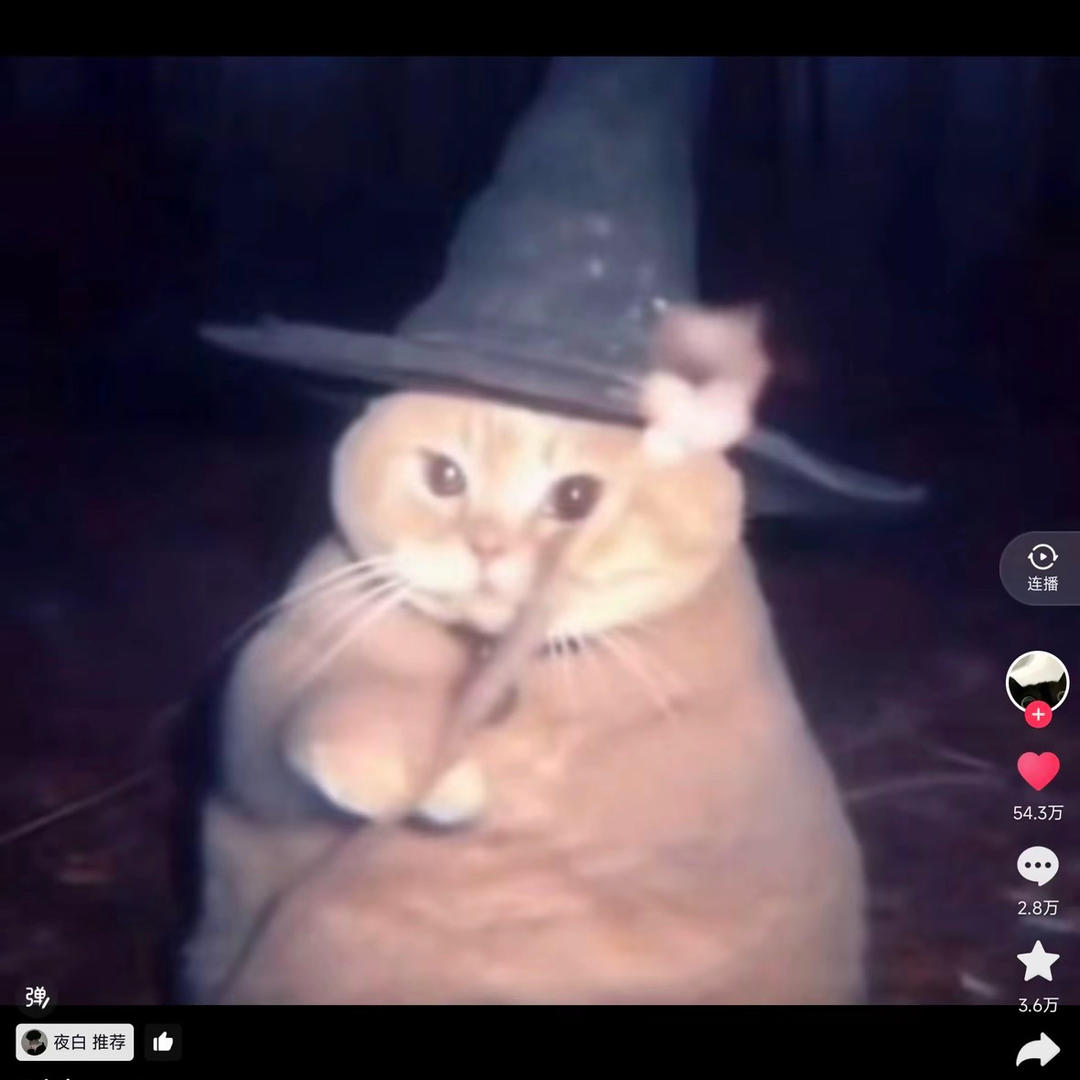 why的厨房日记本