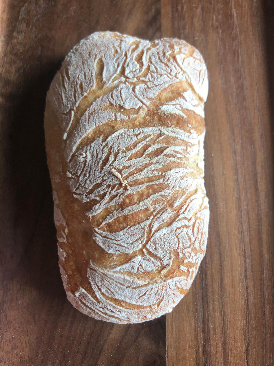 恰巴塔面包  Ciabatta