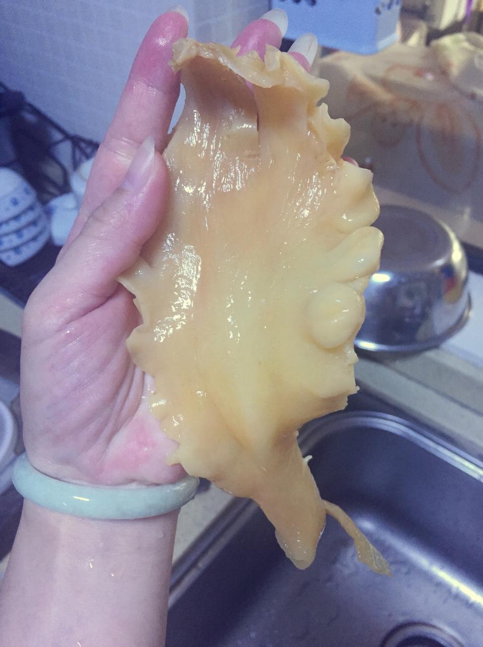 鳕鱼（鳘鱼）花胶的泡发