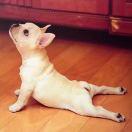 婷婷婷婷婷大宝贝