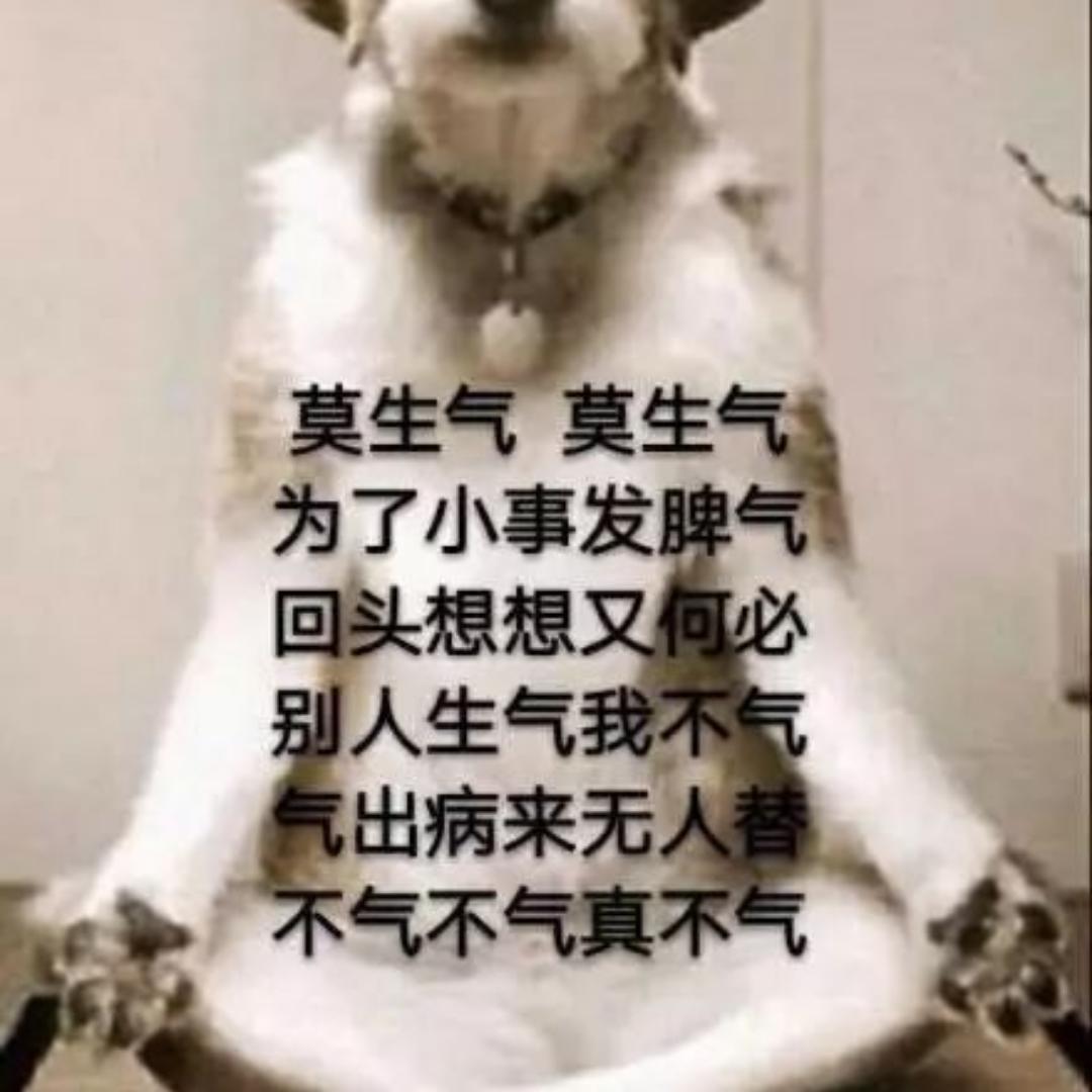 撩人的兔子