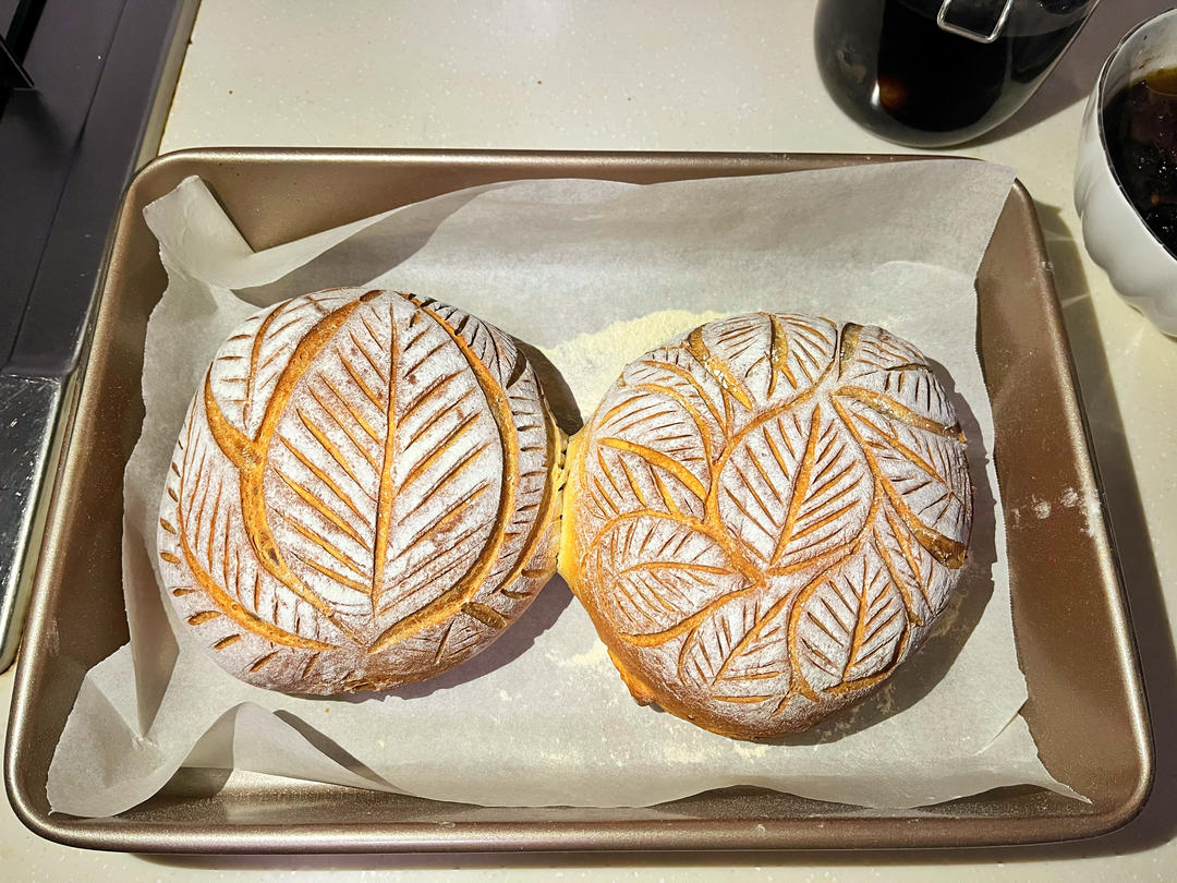 提子干全麦软欧包