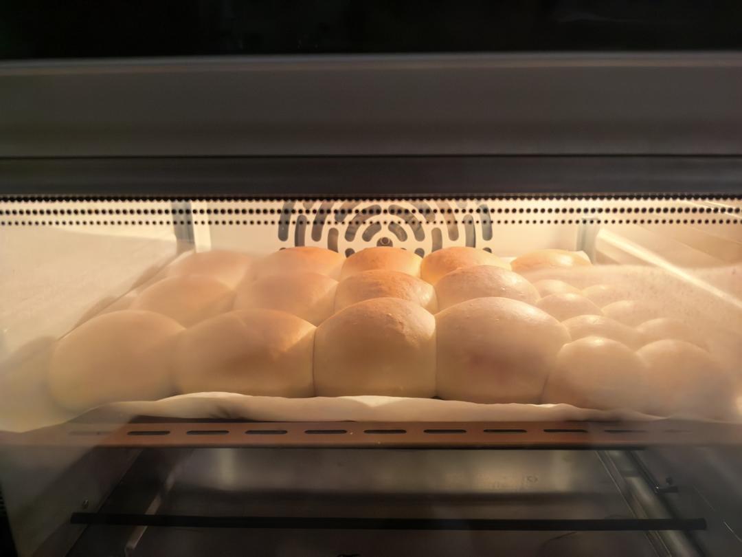 100%中种冷藏发酵