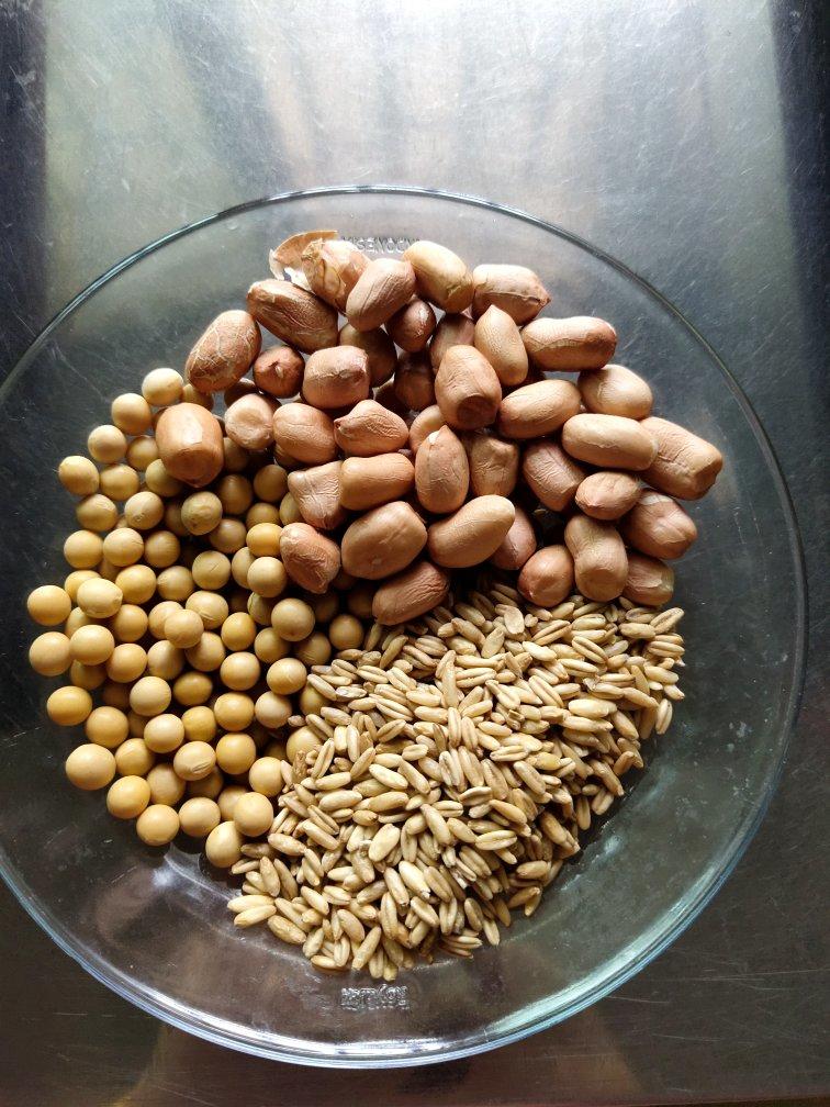 红枣花生豆浆(破壁机)