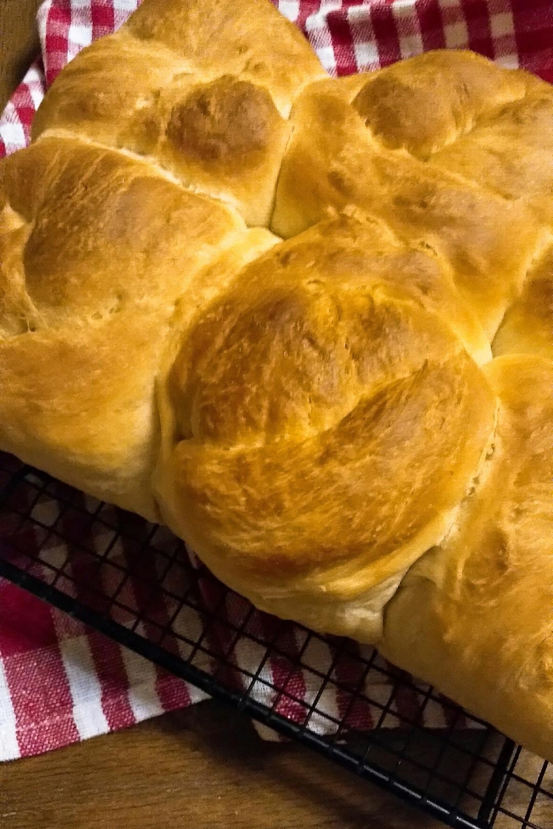 吃不够的老面包