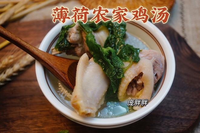 广东湛江特色——薄荷农家鸡汤 健胃消食 好喝的做法