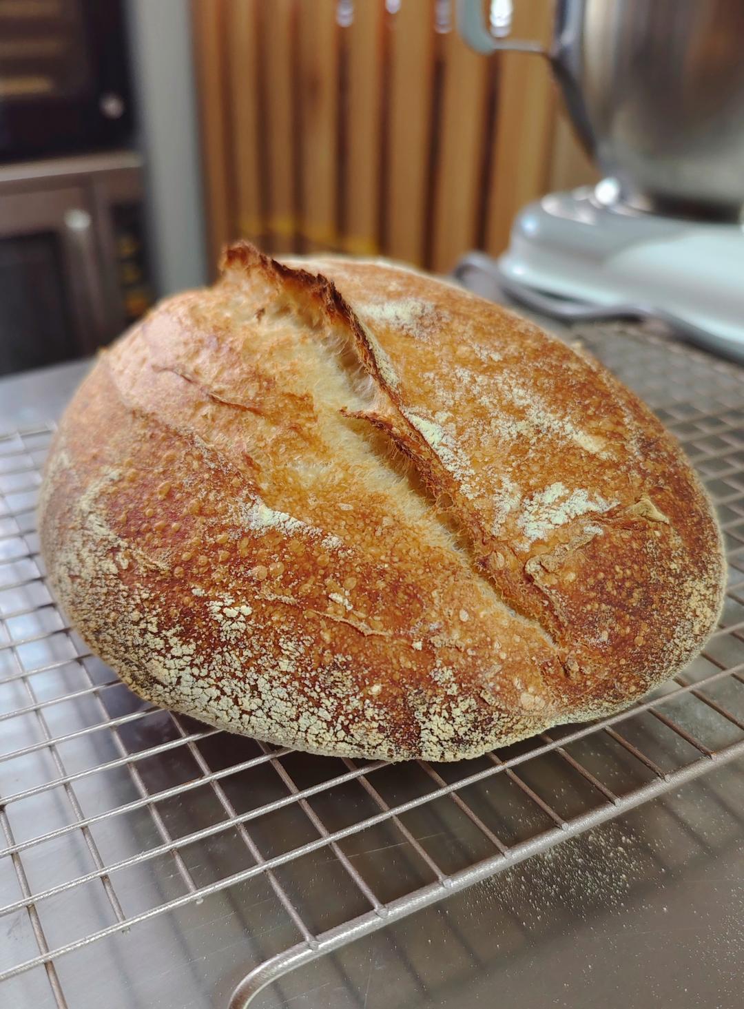 天然酵种鲁邦种硬欧包Sourdough Bread