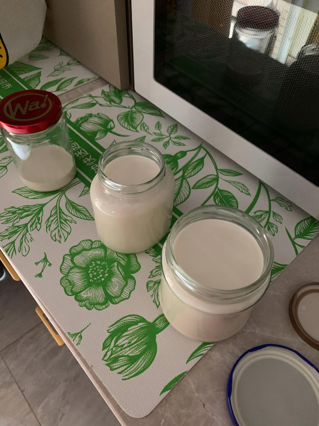 摩飞干果机之酸奶