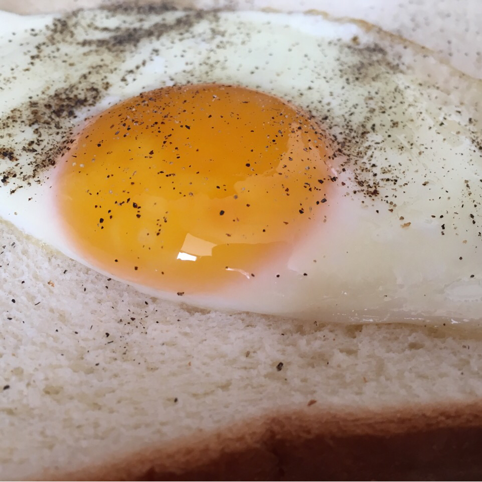 【熊记】太阳蛋