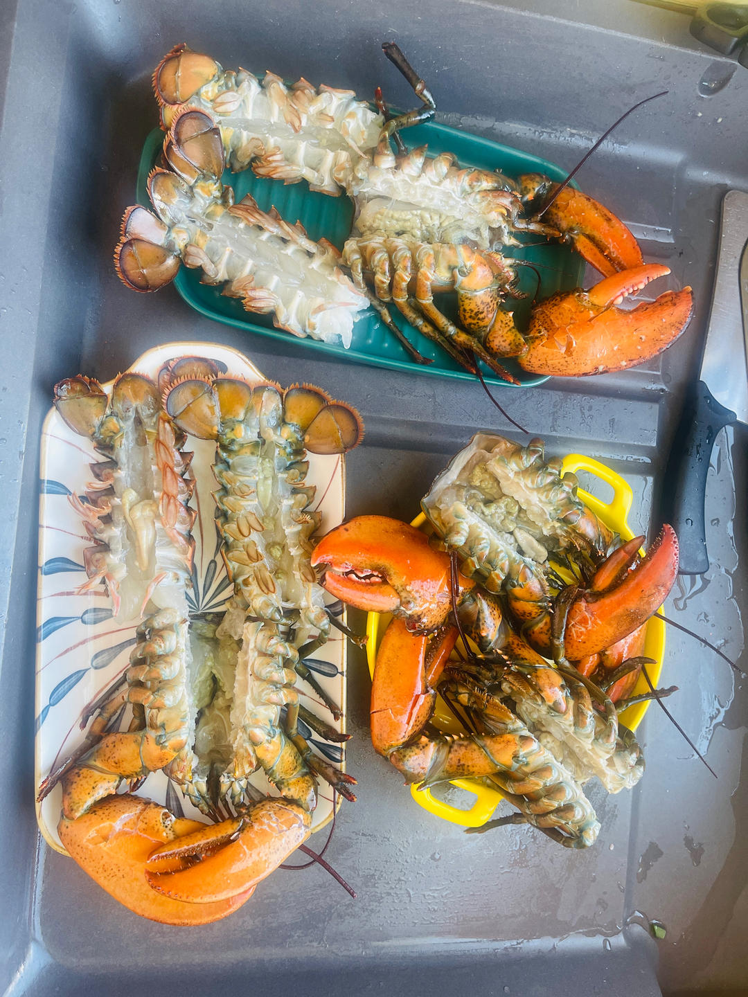 处理一群波士顿龙虾