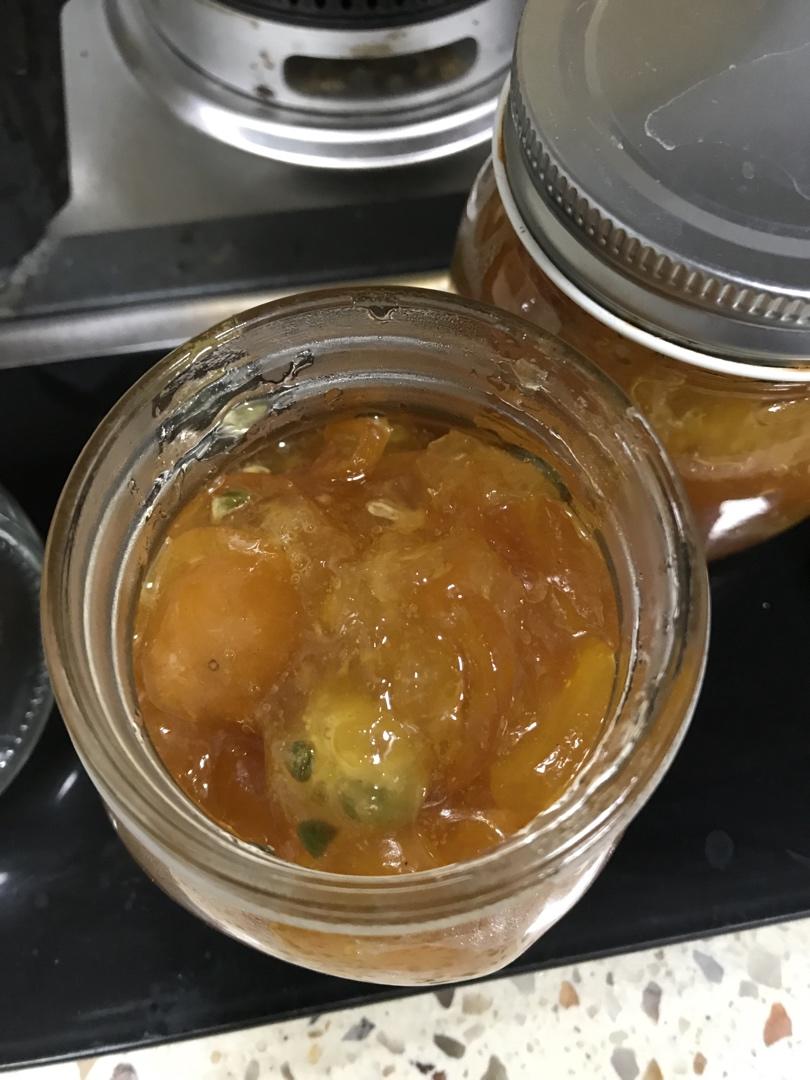 止咳化痰-金桔膏