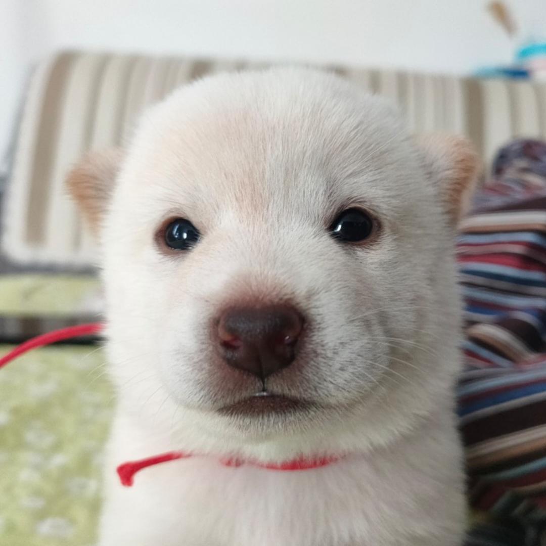 小熊媽咪0511的廚房