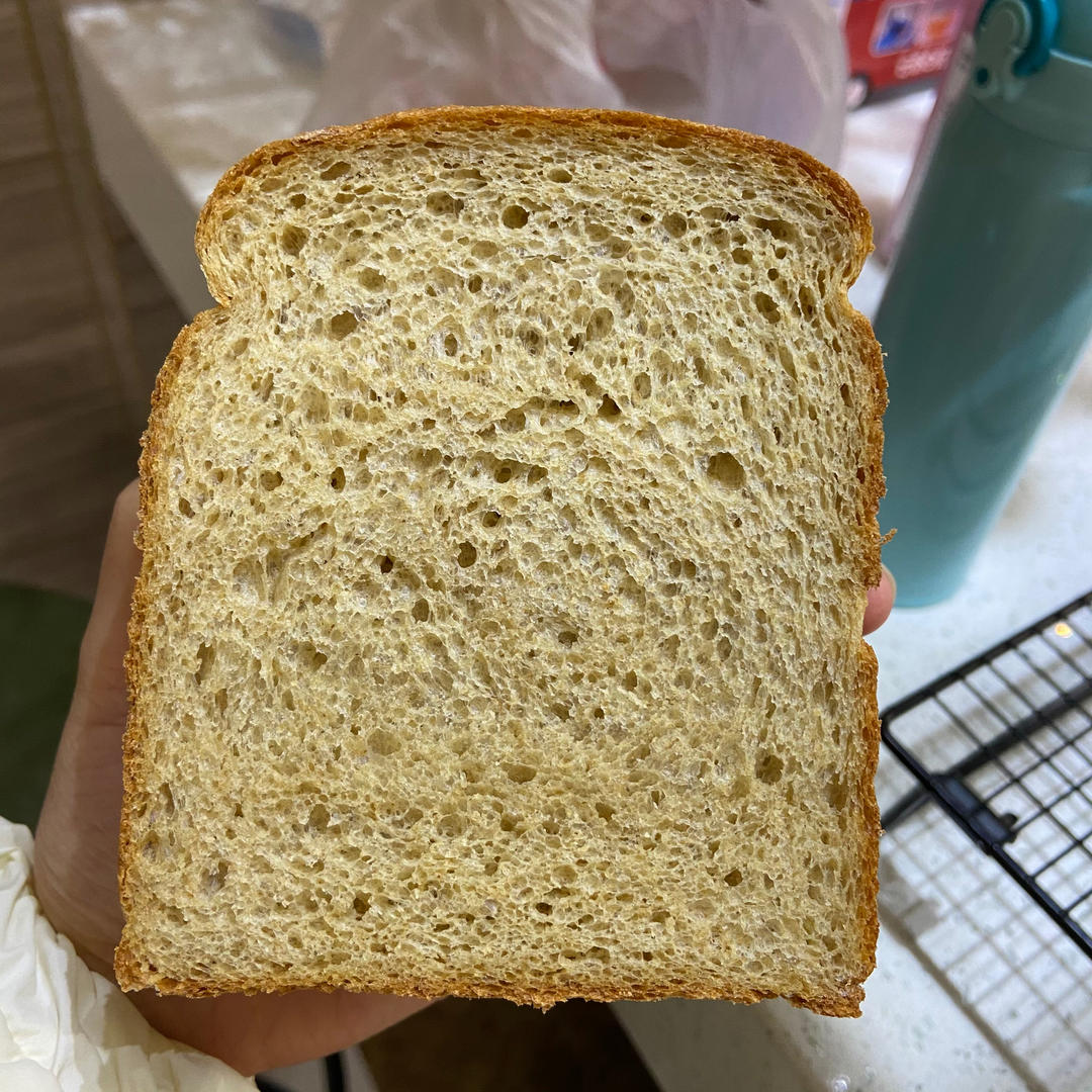 双种芝麻全麦吐司 100%全麦 烫种+波兰种