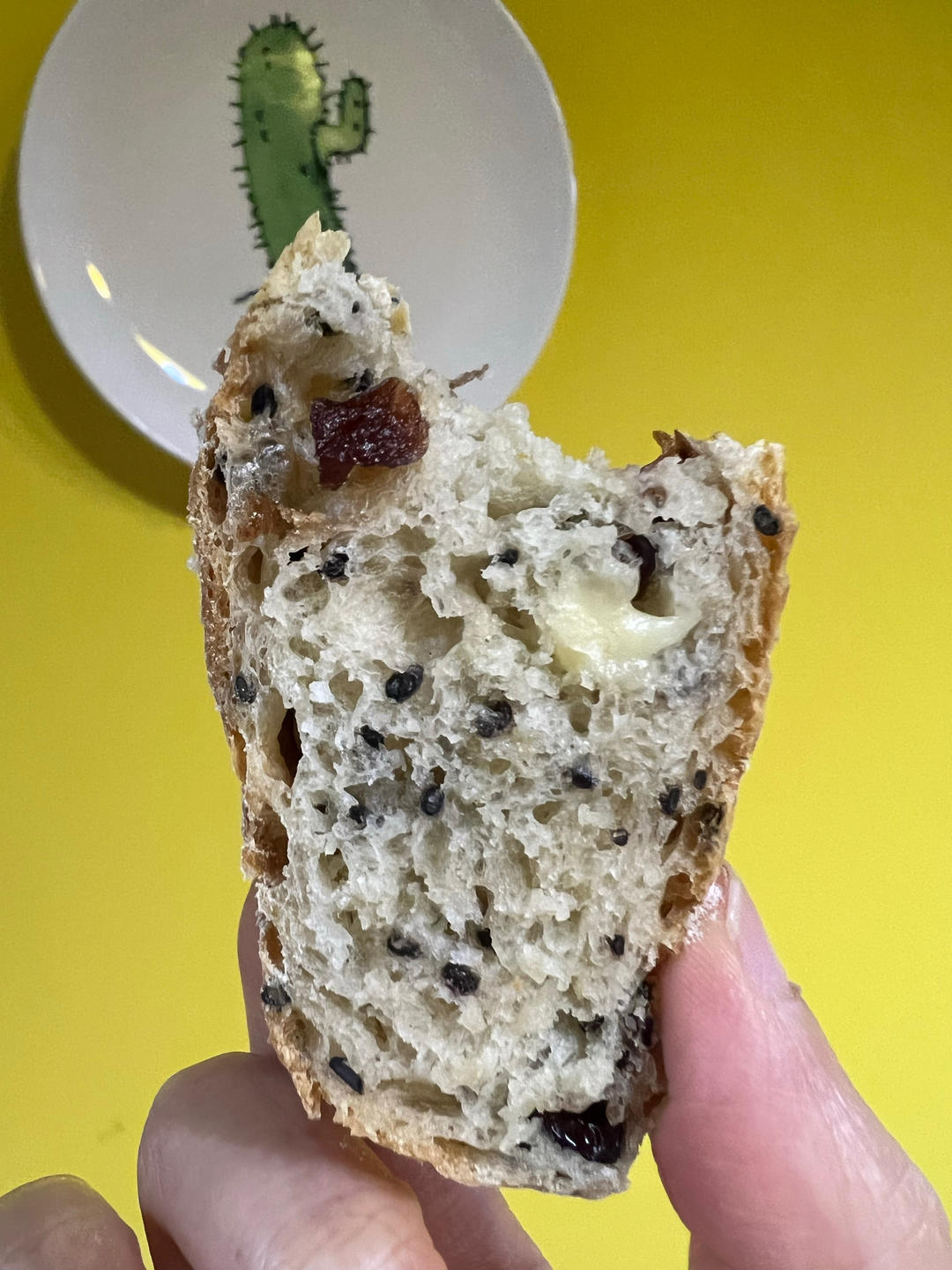 🥖黑芝麻蔓越莓面包｜无油糖无需揉面🉑