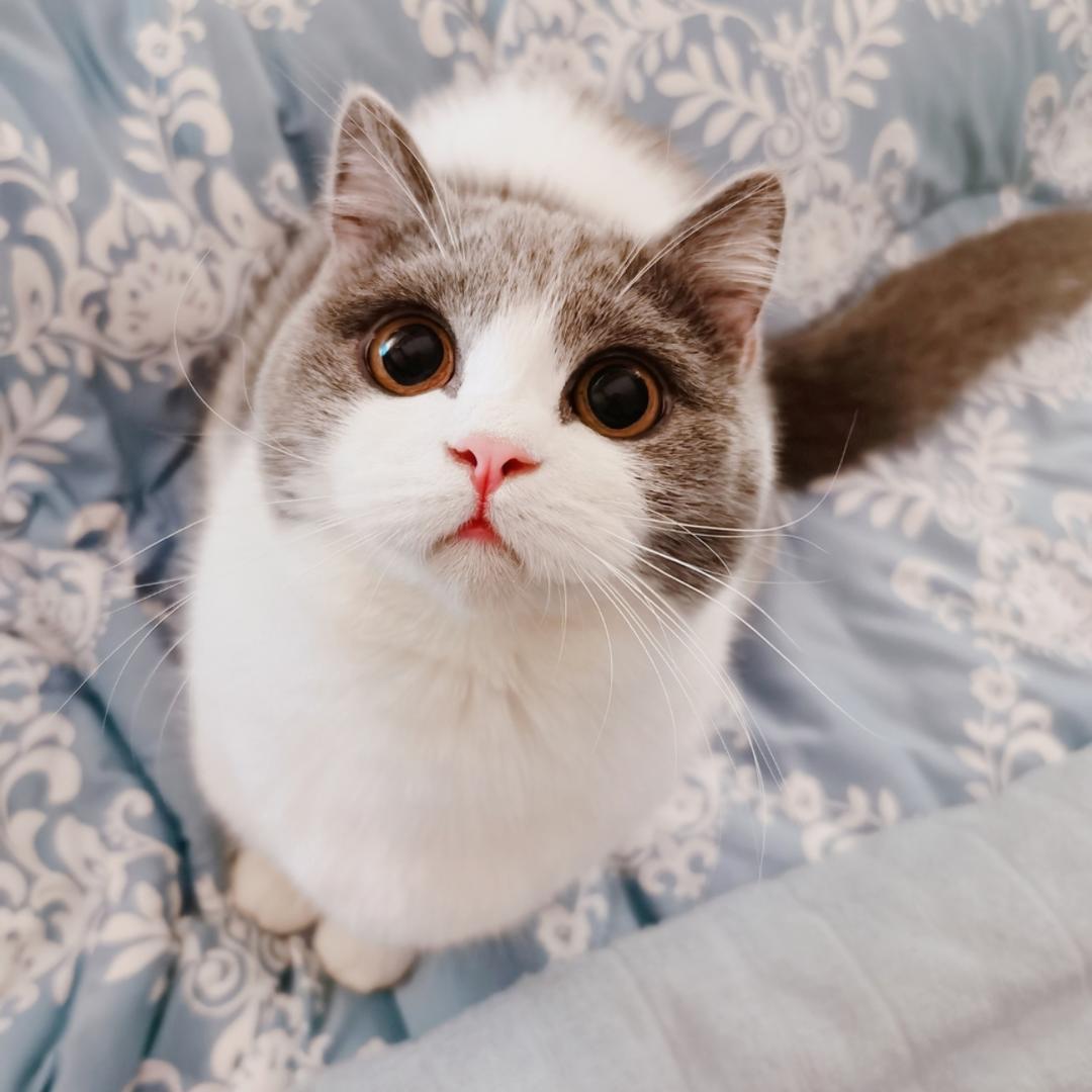 澪爷