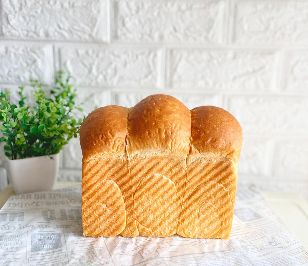 又香又白又温柔--蛋奶吐司