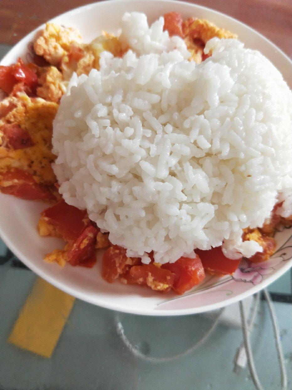 番茄炒蛋盖饭