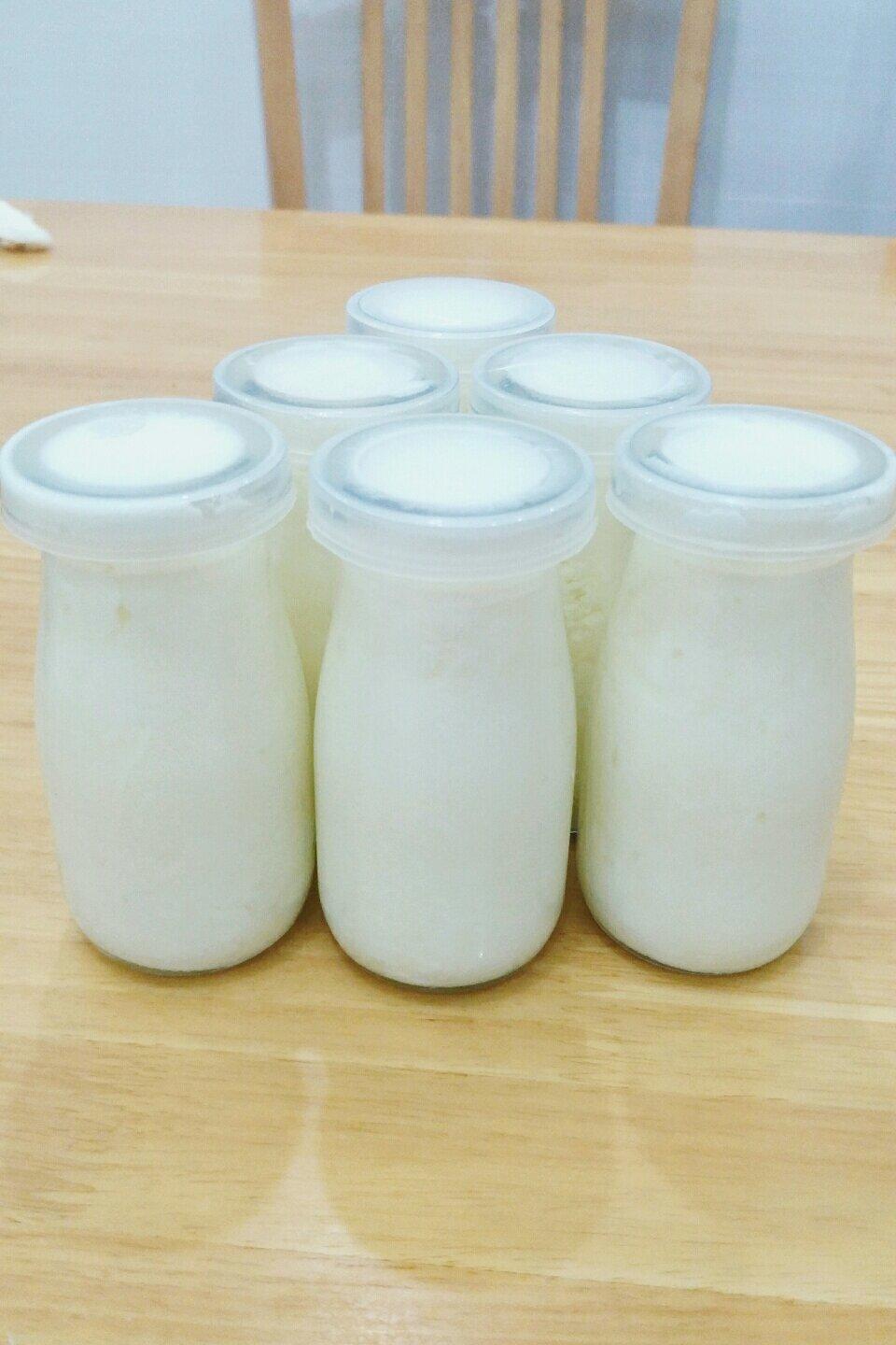 就只知道吃i7做的自制酸奶