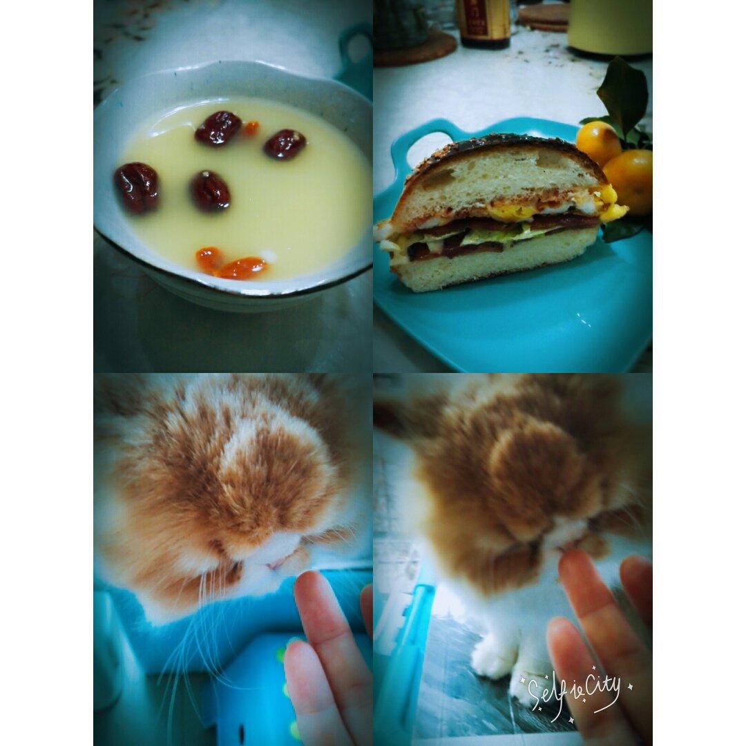 优雅烘焙第97集：我们来做汉堡包吧（上）（家庭手工版）